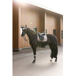 Cuffia anti-mosche Imperial Riding Lovely Cappuccino Marrone