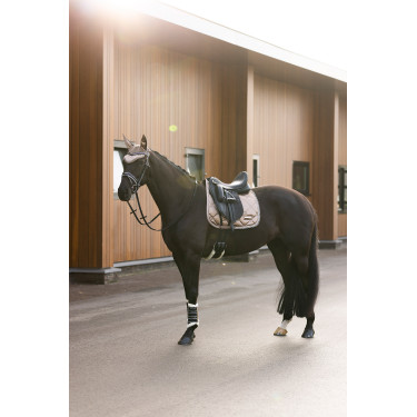 Cuffia anti-mosche Imperial Riding Lovely Cappuccino Marrone