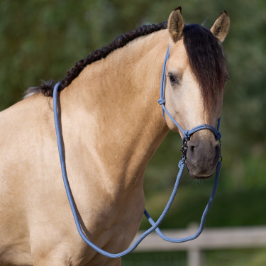 Capezza in corda Imperial Riding Ambient Capezza in corda Imperial Riding Ambient