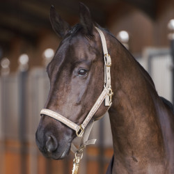 Capezza HV Polo Nena Ciottolo Grigio