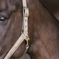 Capezza HV Polo Nena Marina Blu marino