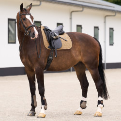 Sottosella HV Polo Essential Dressage Paglia Marrone
