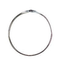 Anello di presentazione