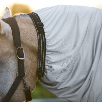 Camicia Anti-Eczema Imperial Riding Argento Camicia Anti-Eczema Imperial Riding Argento