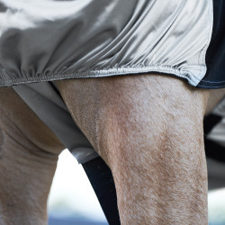 Camicia Anti-Eczema Imperial Riding Argento