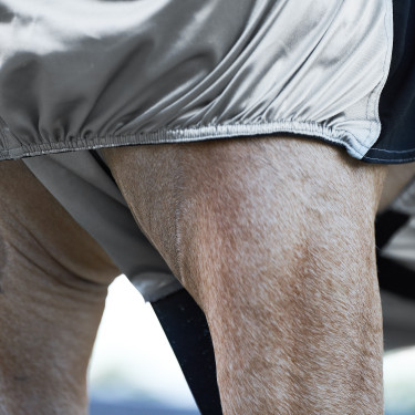 Camicia Anti-Eczema Imperial Riding Argento