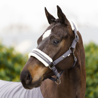 Capezzina Imperial Riding Jewel Tornado Beige Capezzina Imperial Riding Jewel Tornado Beige
