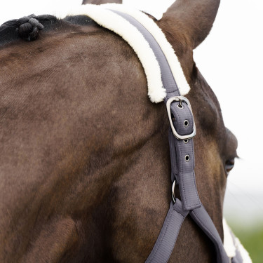 Capezzina Imperial Riding Jewel Tornado Beige