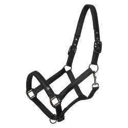 Capezzina Imperial Riding Rebel