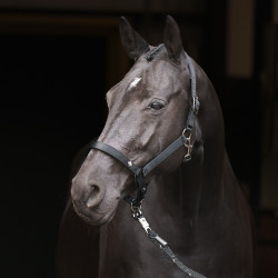 Capezzina Imperial Riding Rebel Nero