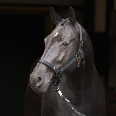 Capezzina Imperial Riding Rebel Nero