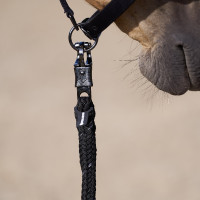 Lunga di fissaggio Imperial Riding Deluxe anti panico Ballerina Viola