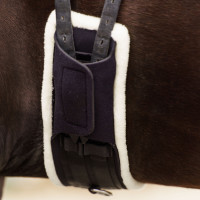Sottopancia da addestramento Imperial Riding Comfort Nero