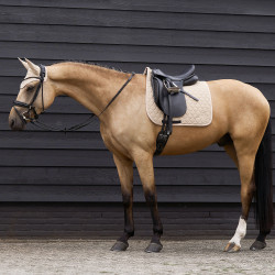 Sottosella Euro-Star Coco dressage Beige