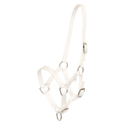 Cavezzone puledro HV Polo Nena