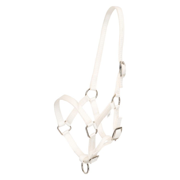 Cavezzone puledro HV Polo Nena