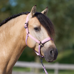 Capezzina Imperial Riding Sparkle Ballerina Viola