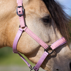 Capezzina Imperial Riding Sparkle Ballerina Viola