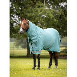 Coperta da esterno LeMieux Arika Ripstop 50 g Laguna Blu