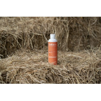 Olio Alodis Care Work Recup Olio Alodis Care Work Recup