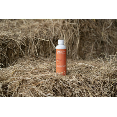 Olio Alodis Care Work Recup Olio Alodis Care Work Recup