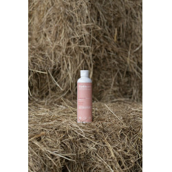 Olio da massaggio Alodis Care Digest Recup Olio da massaggio Alodis Care Digest Recup