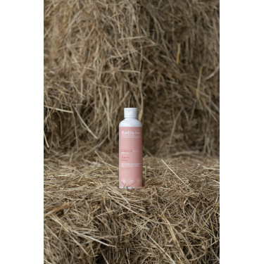 Olio da massaggio Alodis Care Digest Recup Olio da massaggio Alodis Care Digest Recup