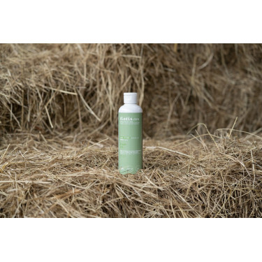 Olio da massaggio Alodis Care Olio Fresh Olio da massaggio Alodis Care Olio Fresh