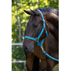 Capezza Hippo Covalliero Blu