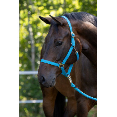 Capezza Hippo Covalliero Blu