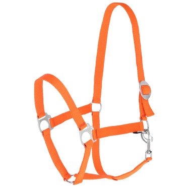 Capezza Hippo Covalliero Arancione