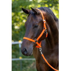 Capezza Hippo Covalliero Arancione