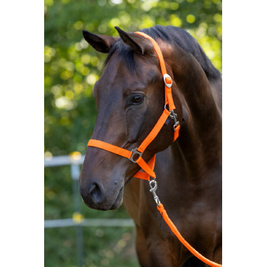 Capezza Hippo Covalliero Arancione