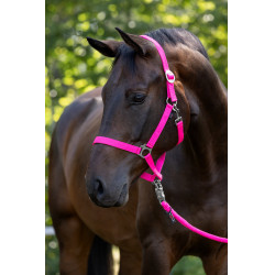 Capezza Hippo Covalliero Rosa