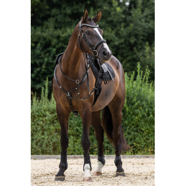 Briglia Clincher Covalliero Nero