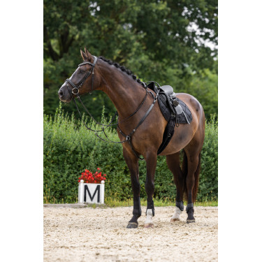 Briglia Clincher Covalliero Nero