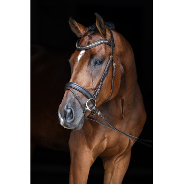 Briglia Clincher Covalliero Marrone