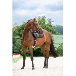 Briglia svedese Covalliero Nero