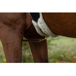 Collare da caccia a LED Covalliero Giallo