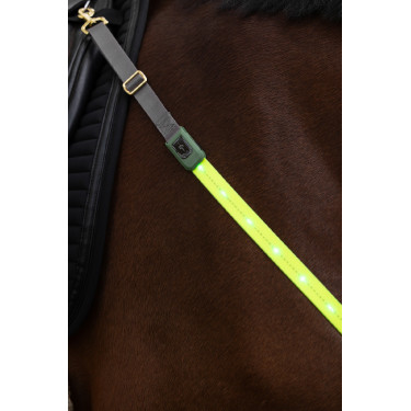 Collare da caccia a LED Covalliero Collare da caccia a LED Covalliero