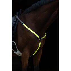 Collare da caccia a LED Covalliero Giallo