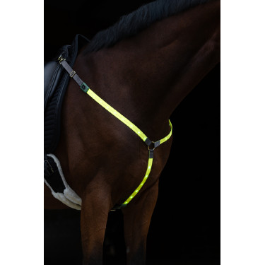 Collare da caccia a LED Covalliero Collare da caccia a LED Covalliero