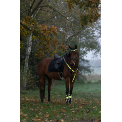 Collare da caccia a LED Covalliero Giallo