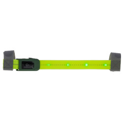 Frontalino a LED Covalliero