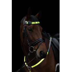Frontalino a LED Covalliero Giallo Frontalino a LED Covalliero Giallo