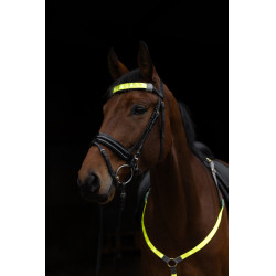 Frontalino a LED Covalliero Giallo Frontalino a LED Covalliero Giallo