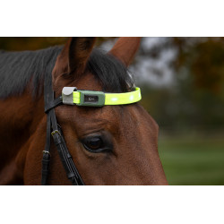 Frontalino a LED Covalliero Giallo Frontalino a LED Covalliero Giallo