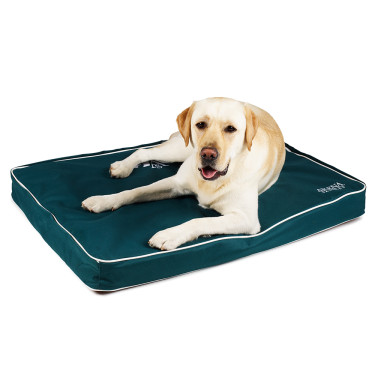 Letto per cane Arena Letto per cane Arena
