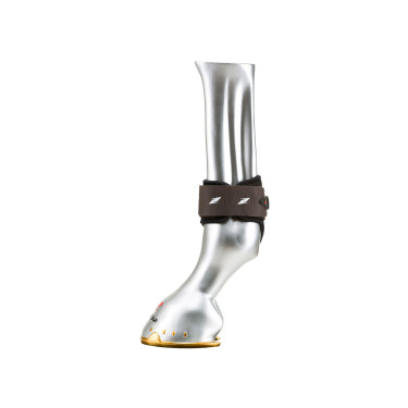 Paraglomi Zandona Pro junior Air Marrone