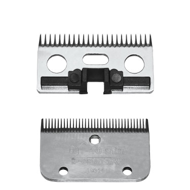 Set di pettini Kerbl constanta